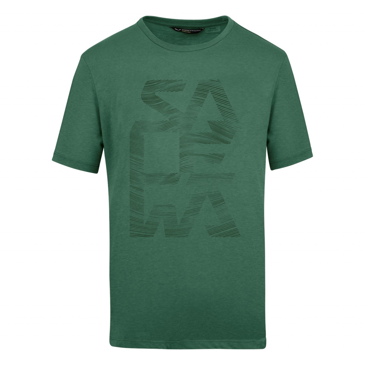 Camisetas Hombre Chile - Salewa Print Dry - Verde - RWZQ-98301